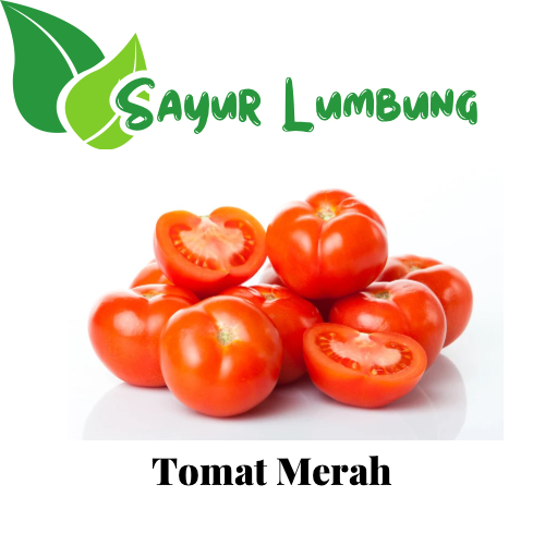 

Sayur Lumbung - Tomat Merah Segar / Sayuran Segar
