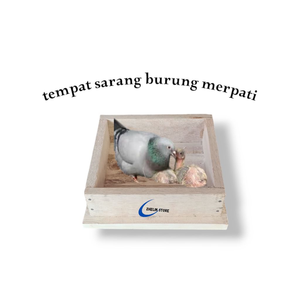 TEMPAT SARANG BURUNG MERPATI
