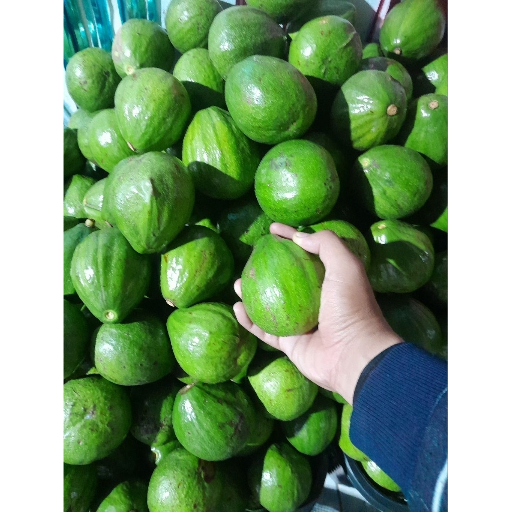 

[COD] ALPUKAT MENTEGA 1KG 3,4,5