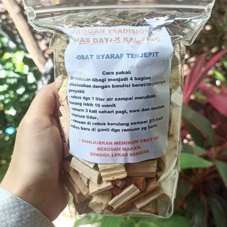 

RAMUAN OBAT SYARAF KEJEPIT/TERJEPIT HERBAL ALAMI KALIMANTAN