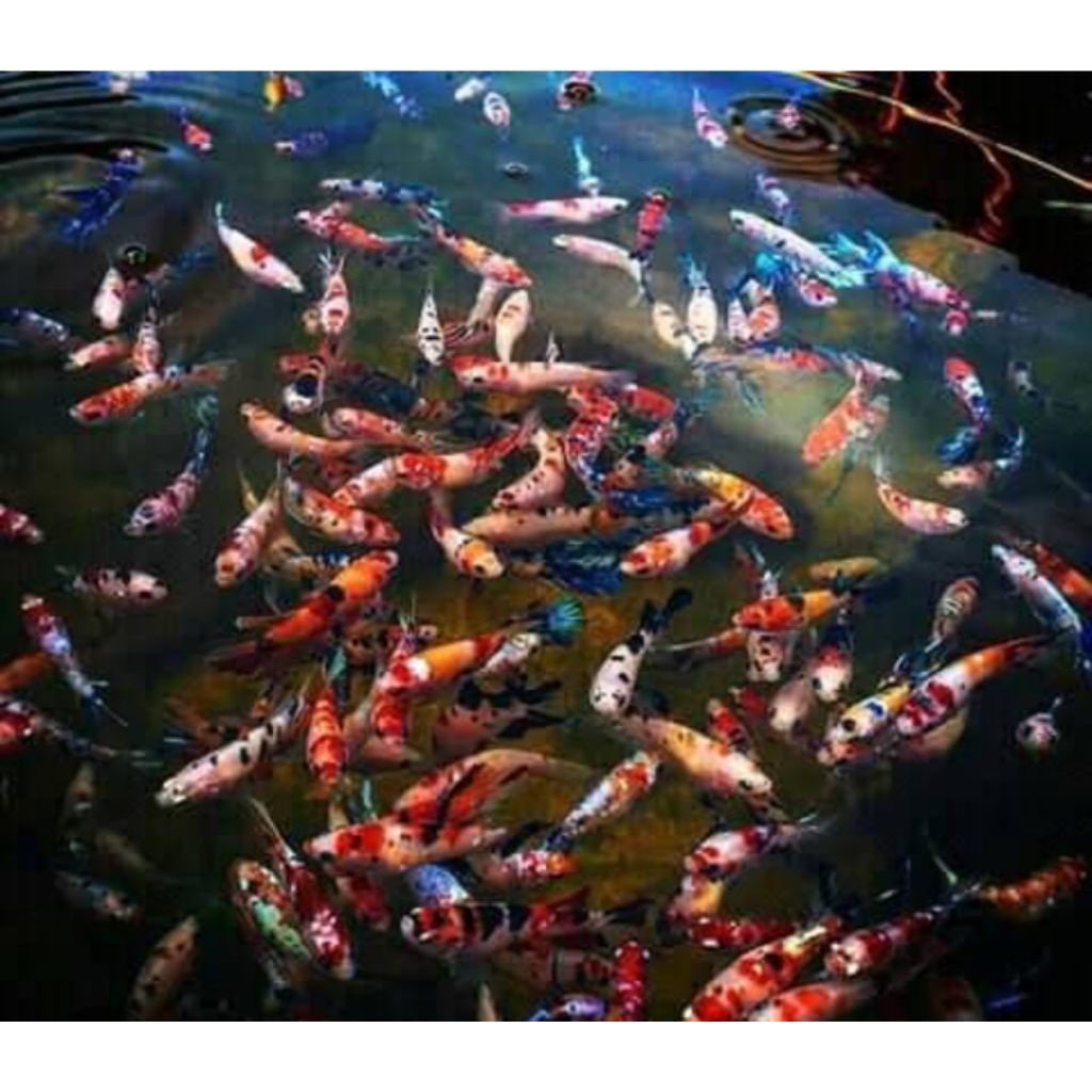 Jaydening 10E Pcs Bahan Avatar Cooper Gold,Avatar Gordon,Multi Dan Pkde