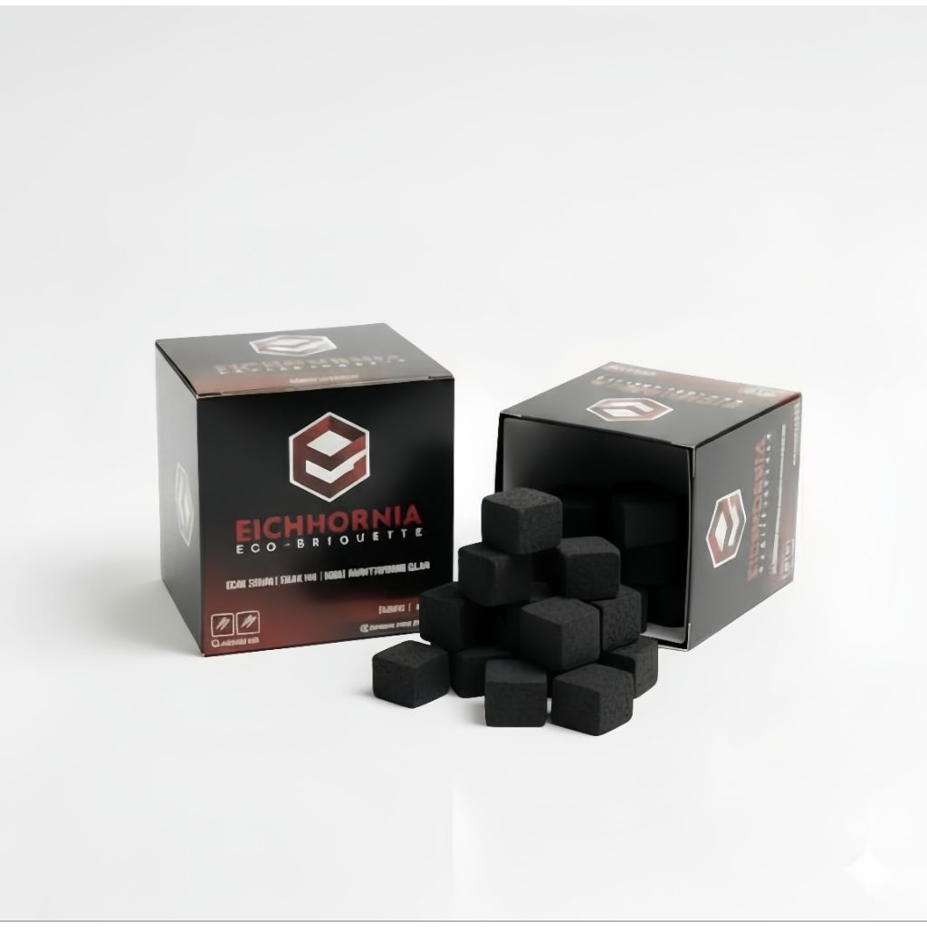 Eichhornia Eco-Briquette | Briket Eceng Gondok Sekam Residu Arang Tempurung Kelapa