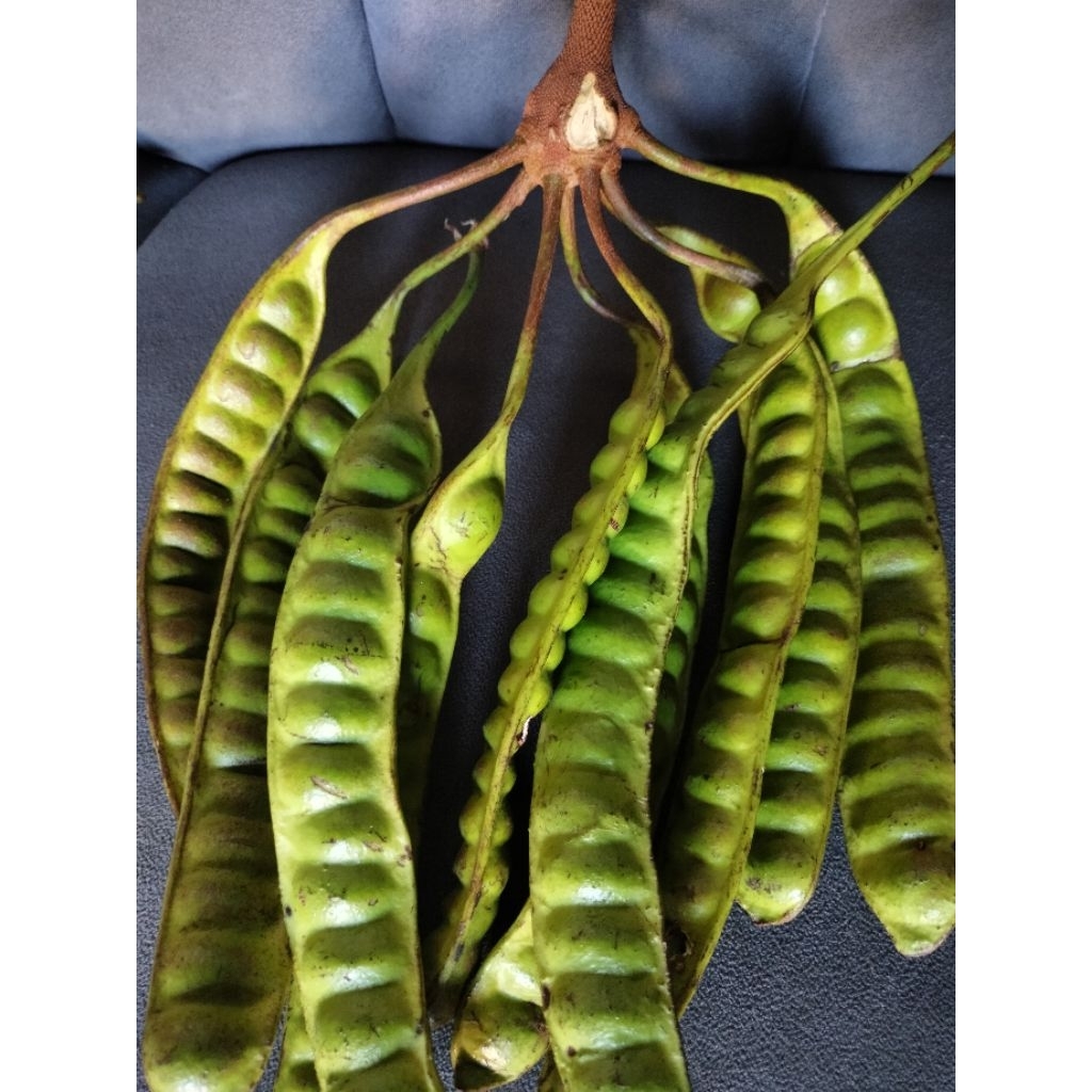 

PETE SEDANG ISI 10 PAPAN