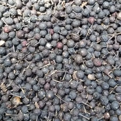 

kemukus kering bisa untuk bibit 200gr