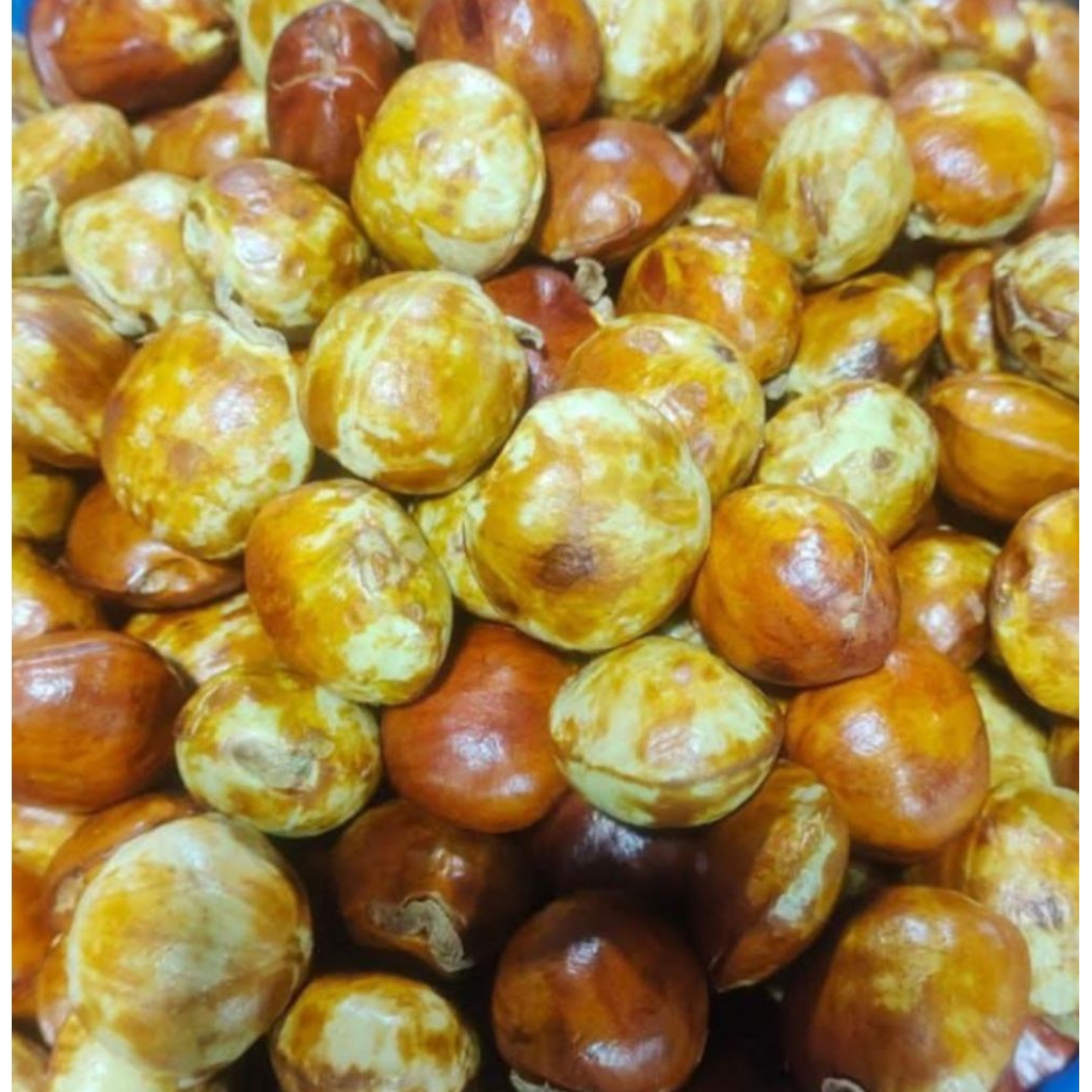 

jengkol tua sudah di kupas 1 kg Rp 60.000