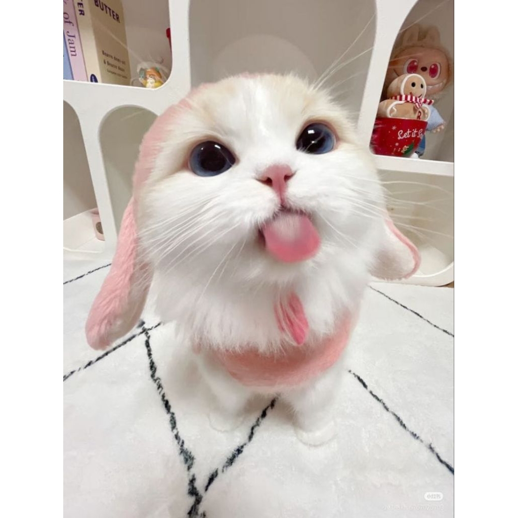 

PRELOVED lip madamgie