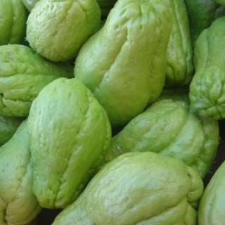 

Labu Siam / Japan Sayur Segar 1 Kg Free Ongkir