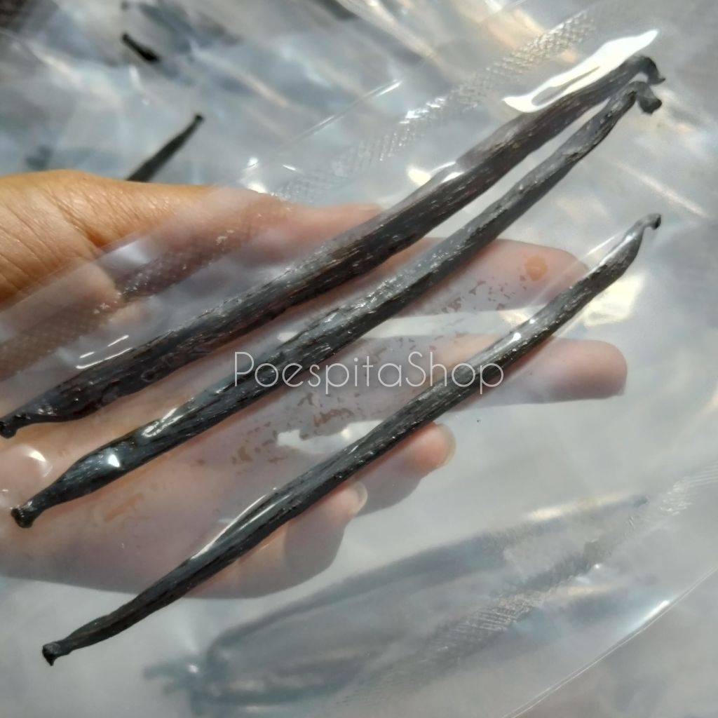 

10 gr Vanilla bean/vanila batang/biji vanila