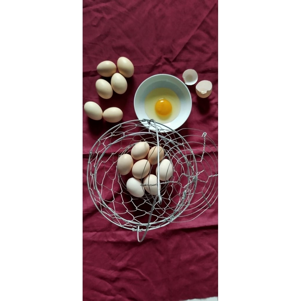 

telur ayam kampung asli