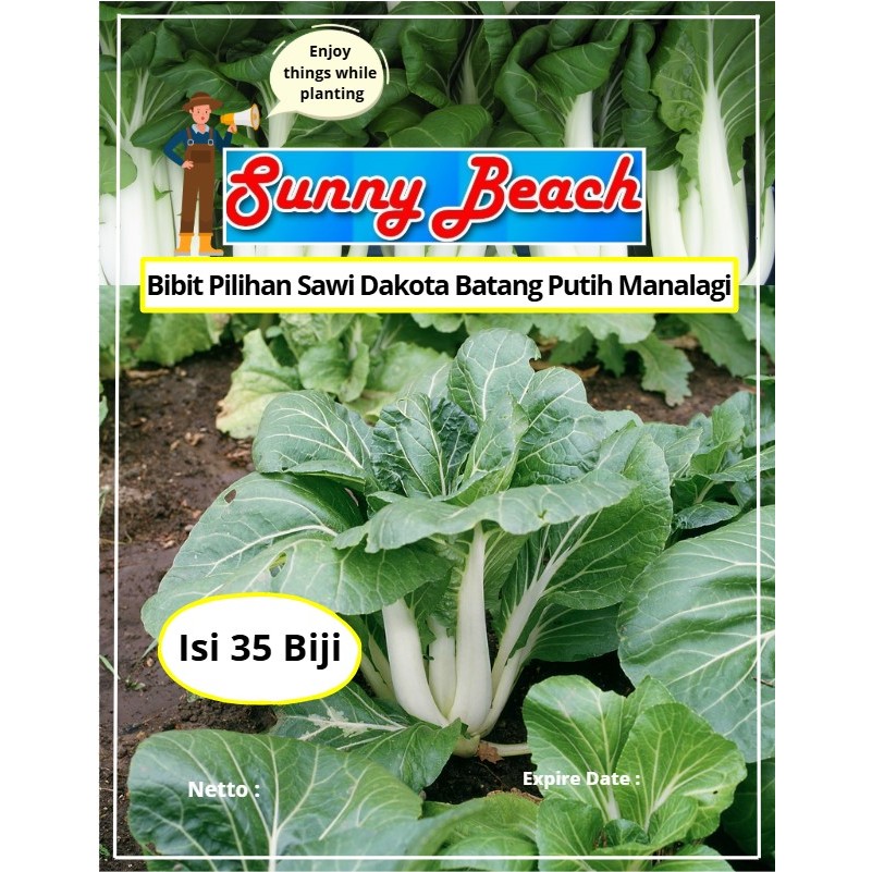 Bibit Pilihan Sawi Dakota Batang Putih Manalagi | Biji Benih Sawi Dakota | Sawi Dakota