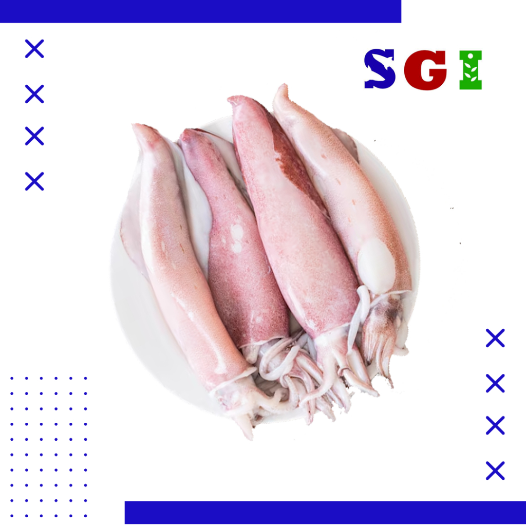 

Cumi Kondom Beku (8 - 15) 1 Kg