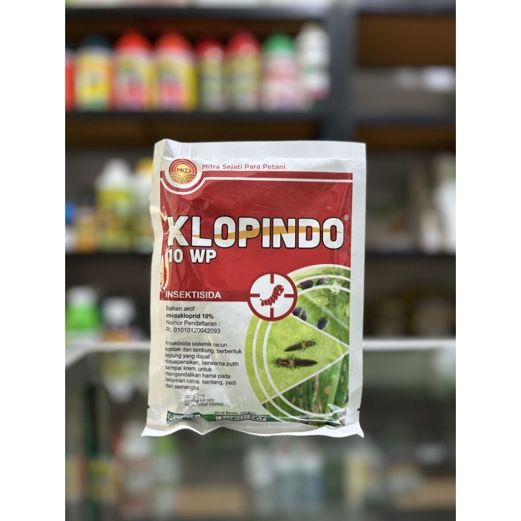 KLOPINDO 10 WP