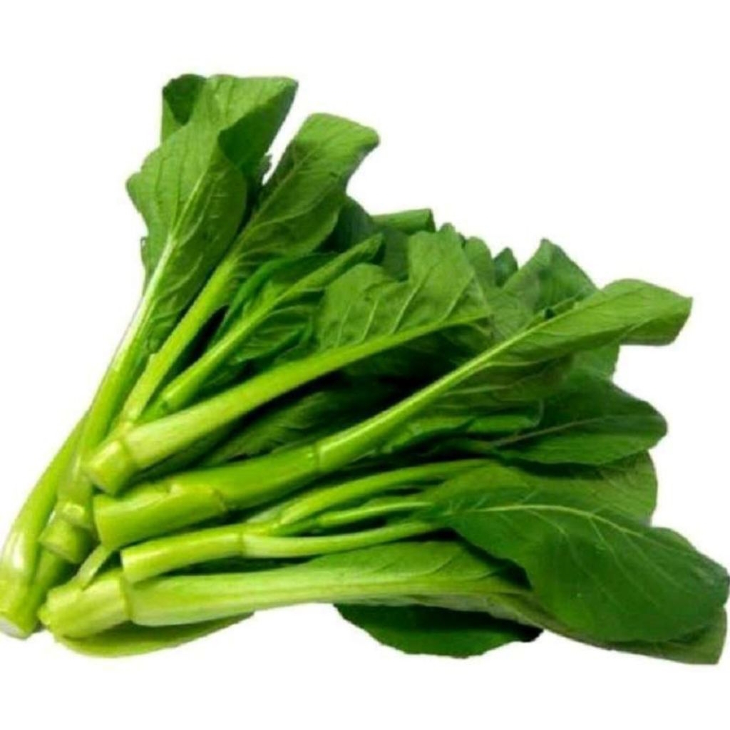 

sawi manis segar /ikat