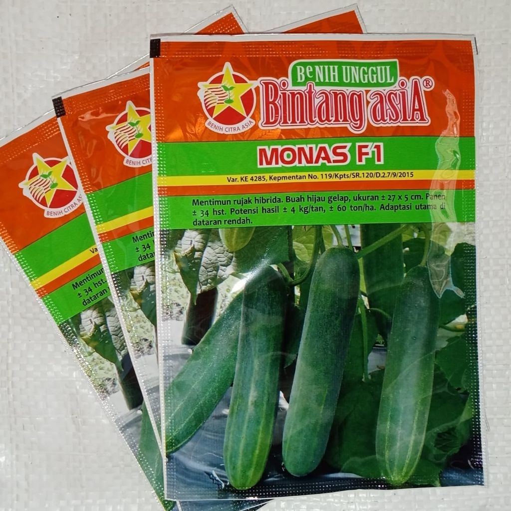 Benih Mentimun MONAS F1 (20 gr)
