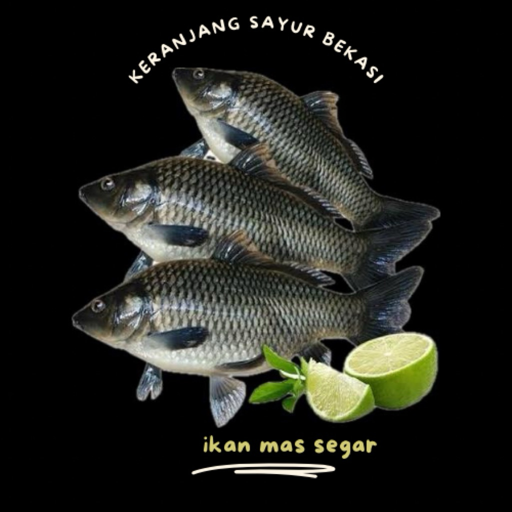 

ikan mas segar / keranjang sayur bekasi