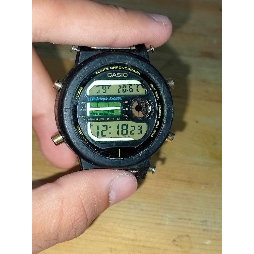 modul DW 6100 gold Thermo