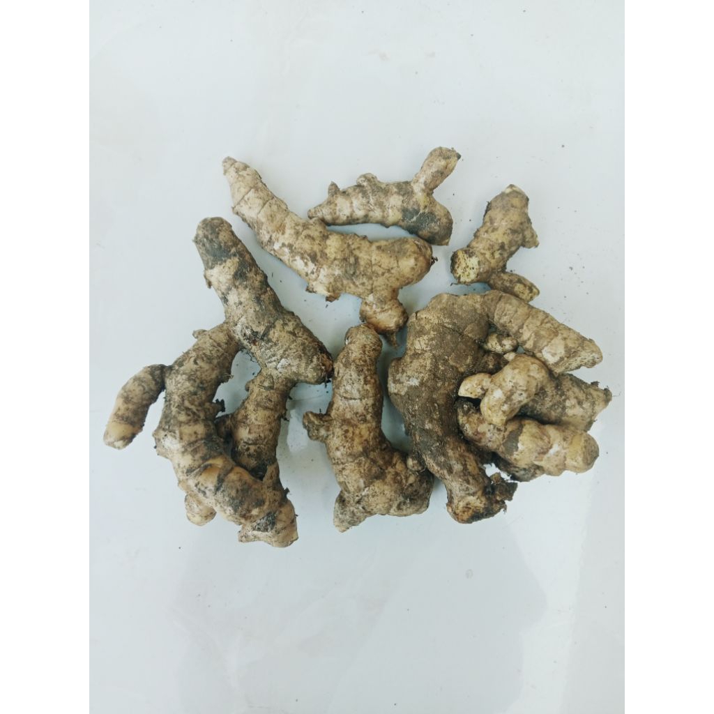 

Kunyit putih segar 1kg/temu putih