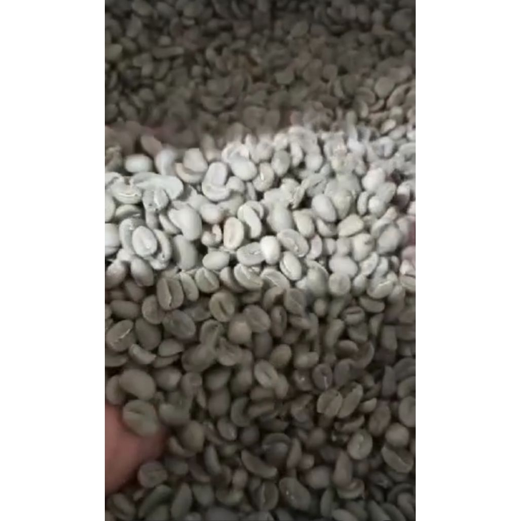 

Biji Kopi Greenbean Arabika Full wast Gayo || Grade 1 Kualitas Ekspor