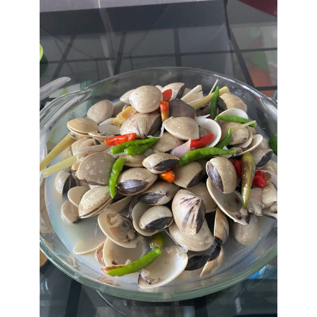 

Kerang Tahu Mentah 1KG Frozen