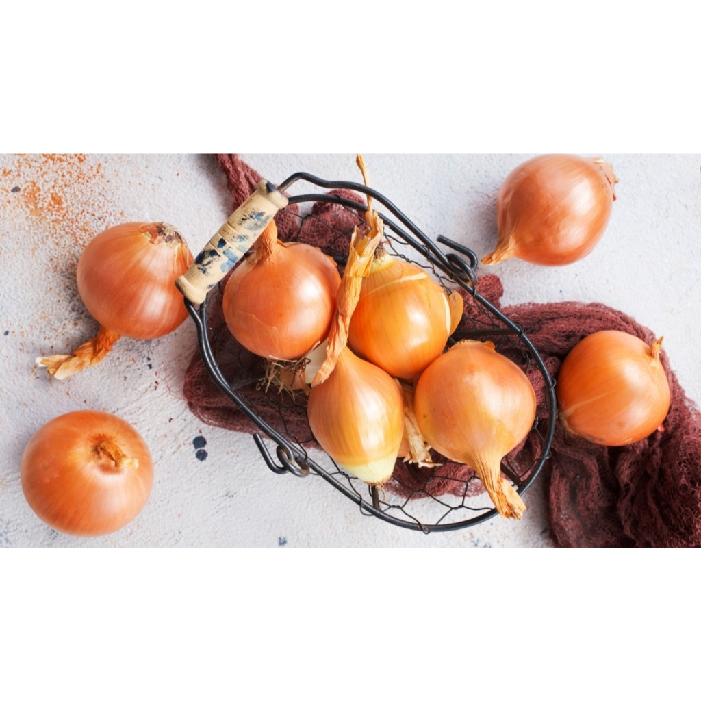 

[TERMURAH] bawang bombay fresh baru