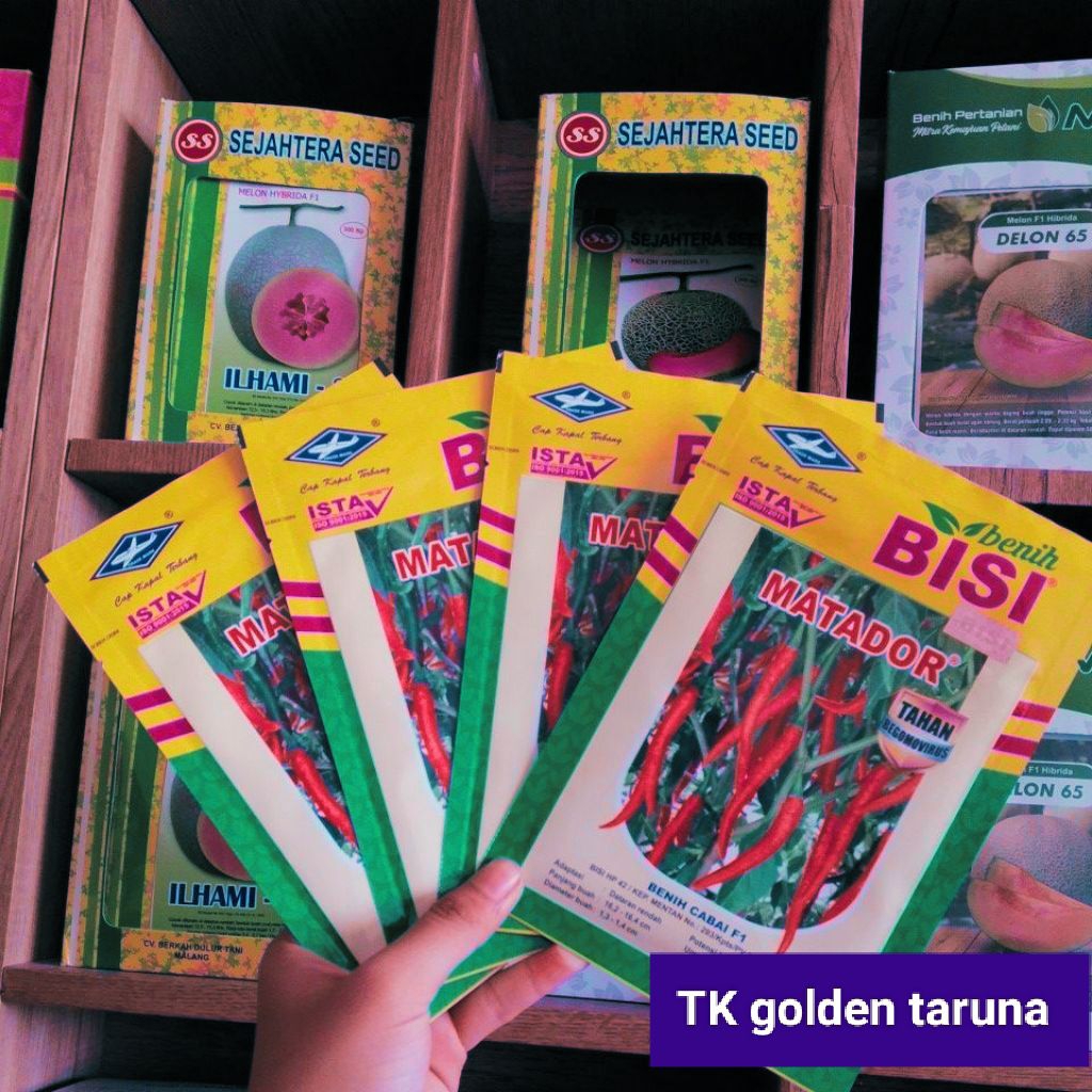 Benih/bibit cabe besar merah MATADOR F1 isi 10 gr