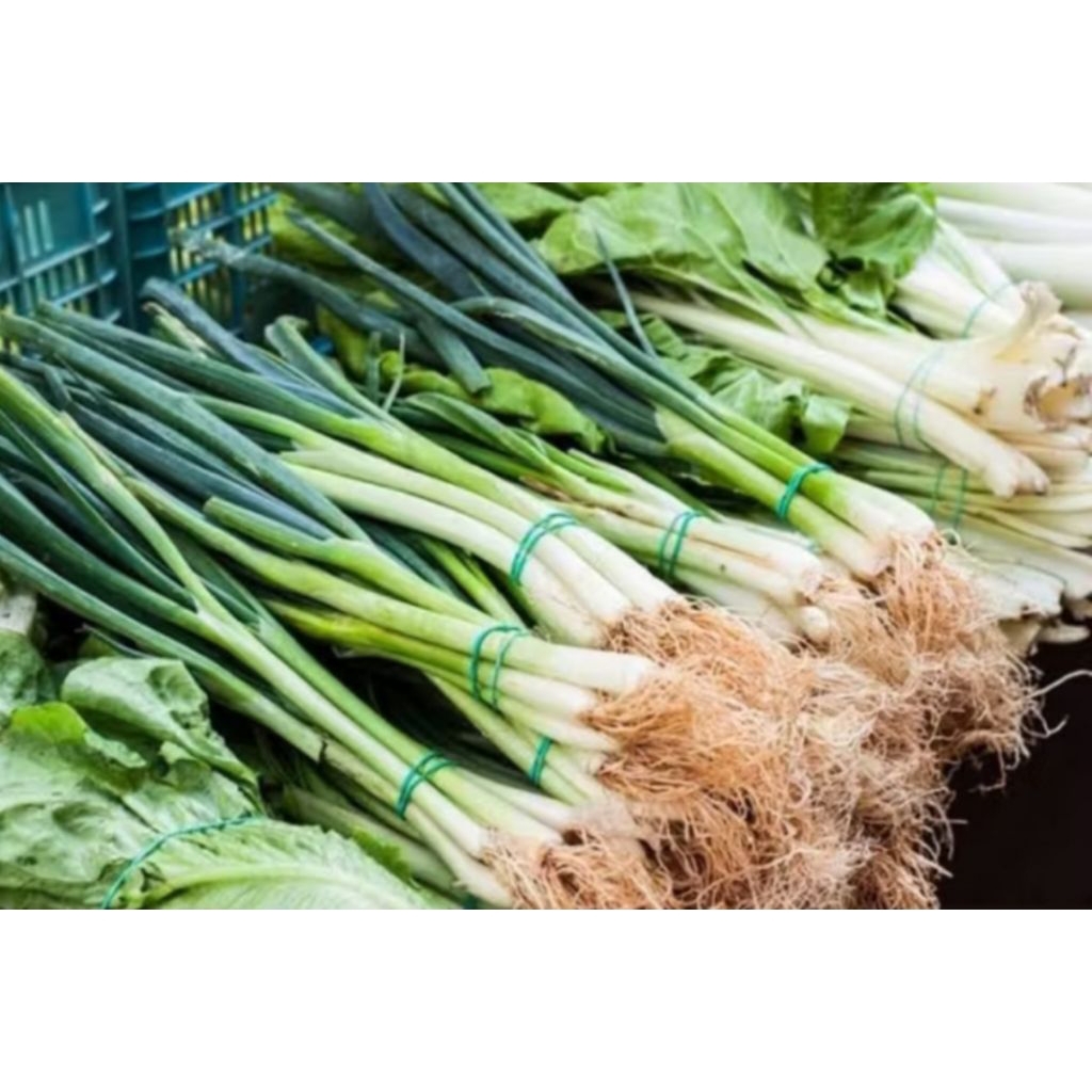 

sayur daun prei 1 ikat bppn