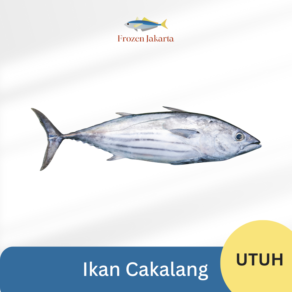 

Ikan Cakalang Utuh Frozen Jakarta Beku Fresh