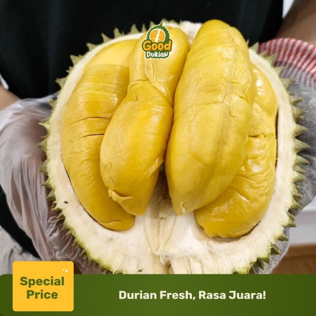 Durian Musang King Utuh Bulat dengan Kulit Fresh - Durian Fresh - Durian Utuh - Good Durian