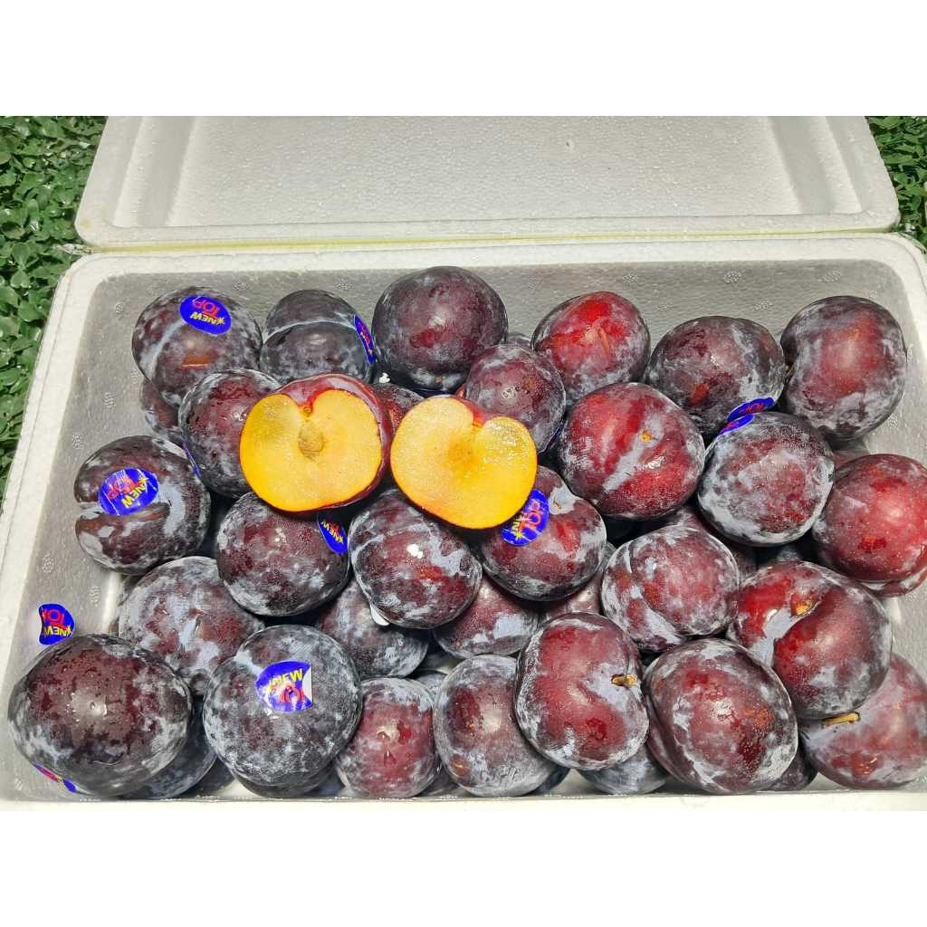

PLUM MERAH / RED PLUM 1kg