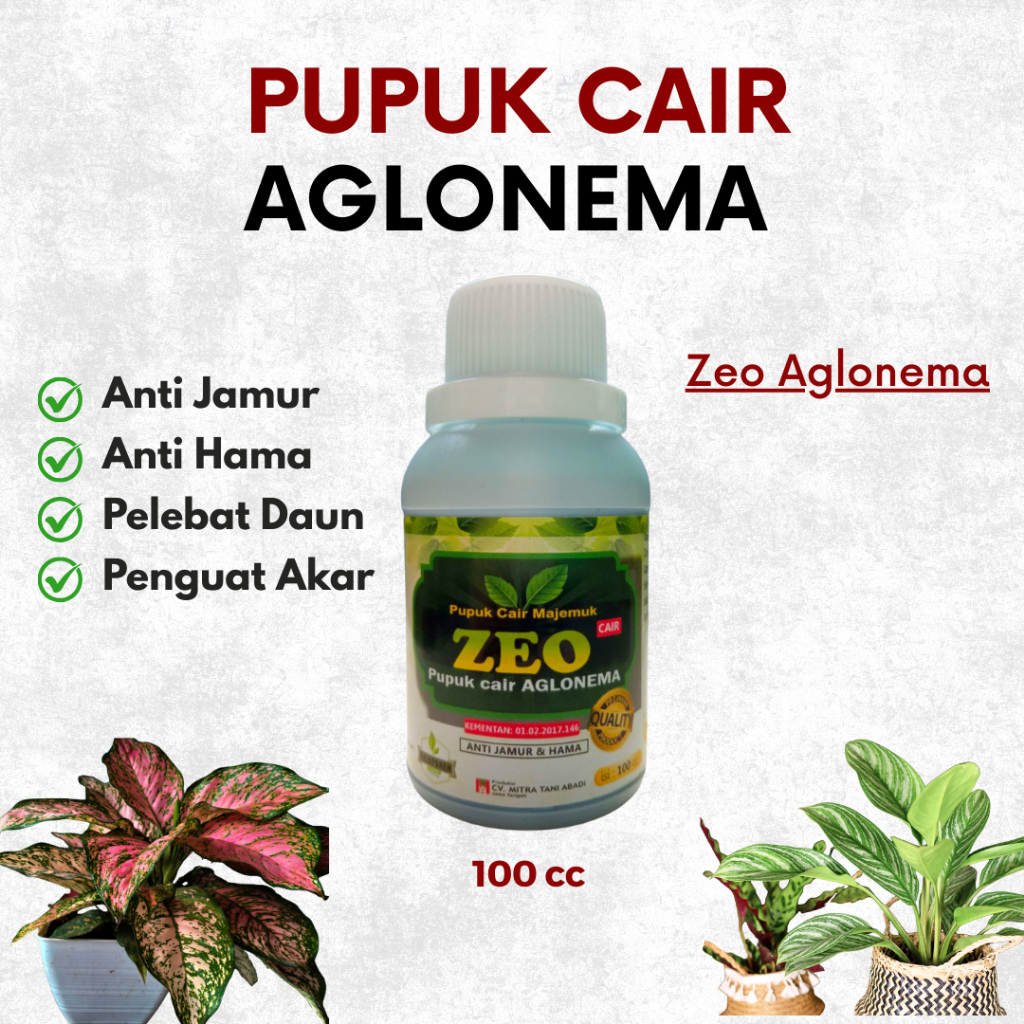 Pupuk Daun Aglonema, BISA COD Pupuk Bunga Aglonema Aglaonema Cair Terbaik, Pupuk Cair Majemuk Zeo Ag