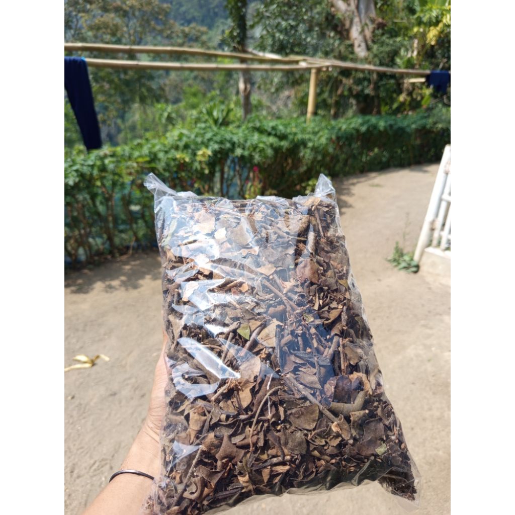 

benalu jengkol kering 500 gram