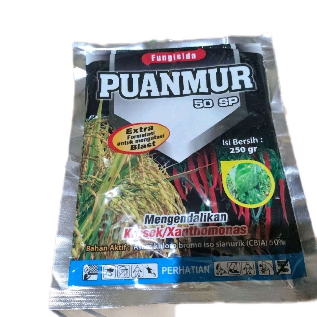 Puanmur 50SP 250gram bakterisida dan fungisida kresek trotol