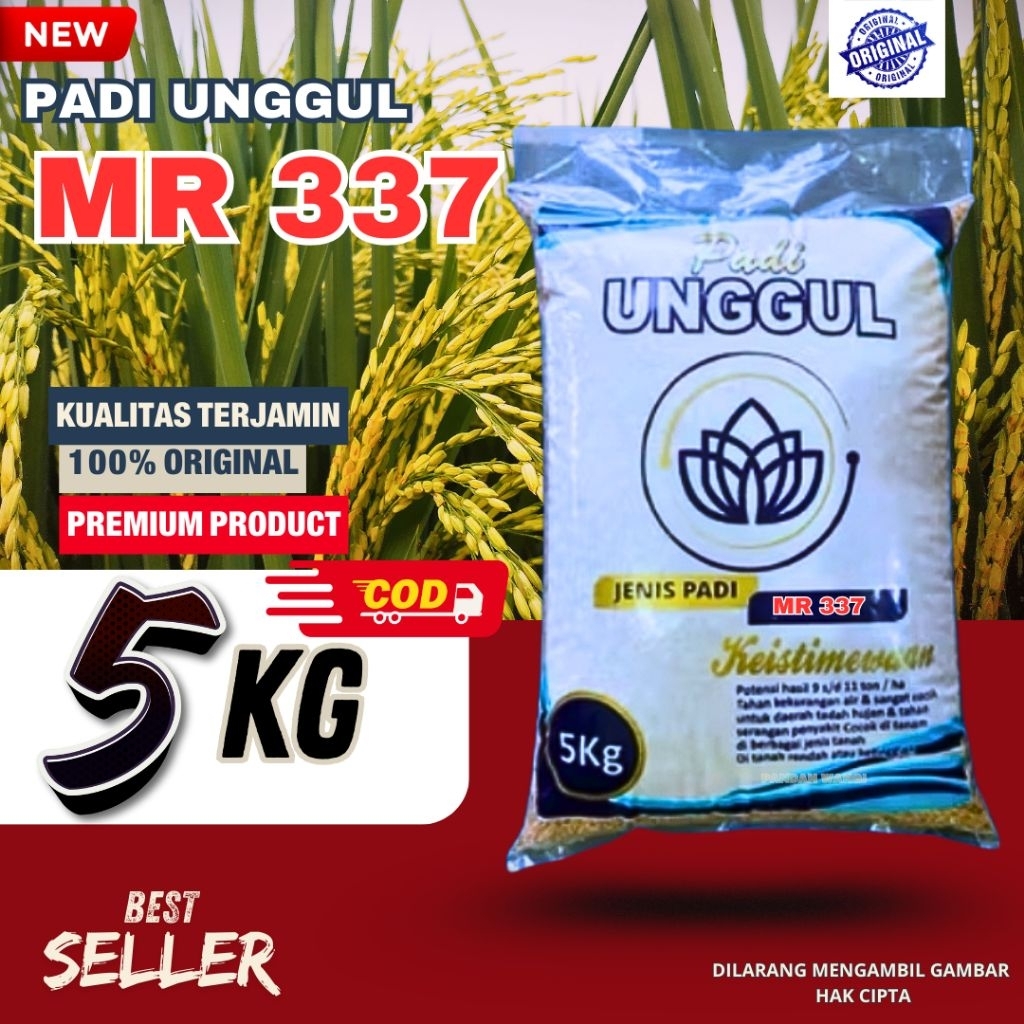 Benih padi unggul Mr 337 orginal benih padi unggul mr 337 bibit padi unggul kemasan 5kg