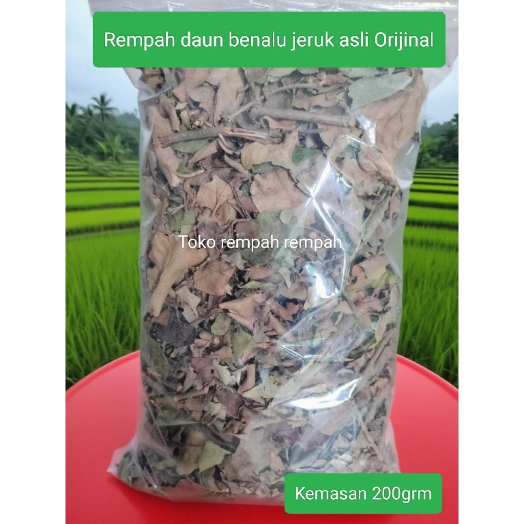 

Daun benalu jeruk nifis kering rempah asli daun benalu jeruk kemasan 200grm