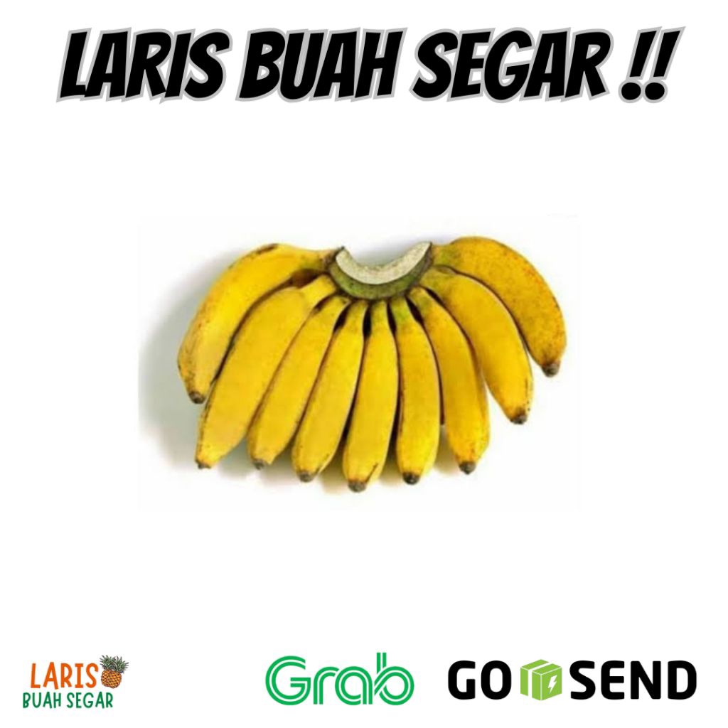 

PISANG RAJA BULU