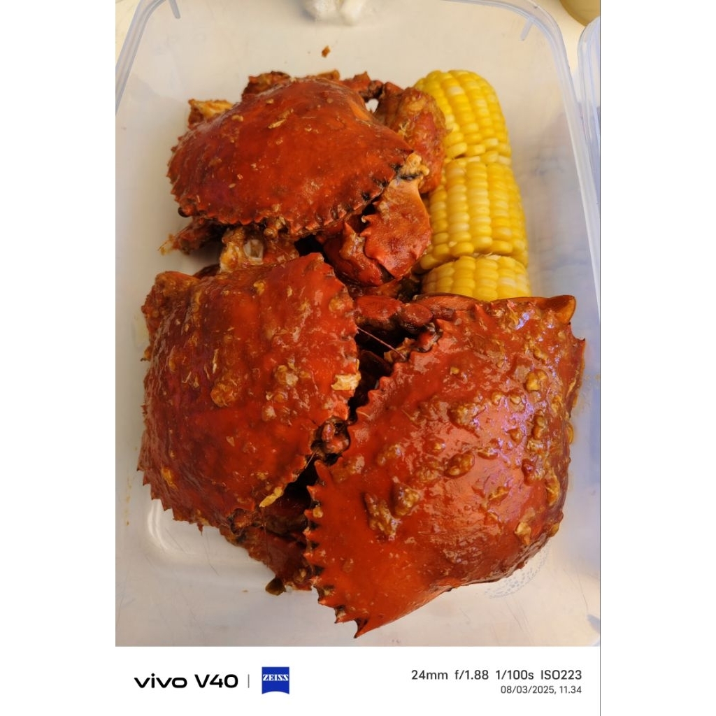 

Kepiting Jantan Size 5ons (2ekor)