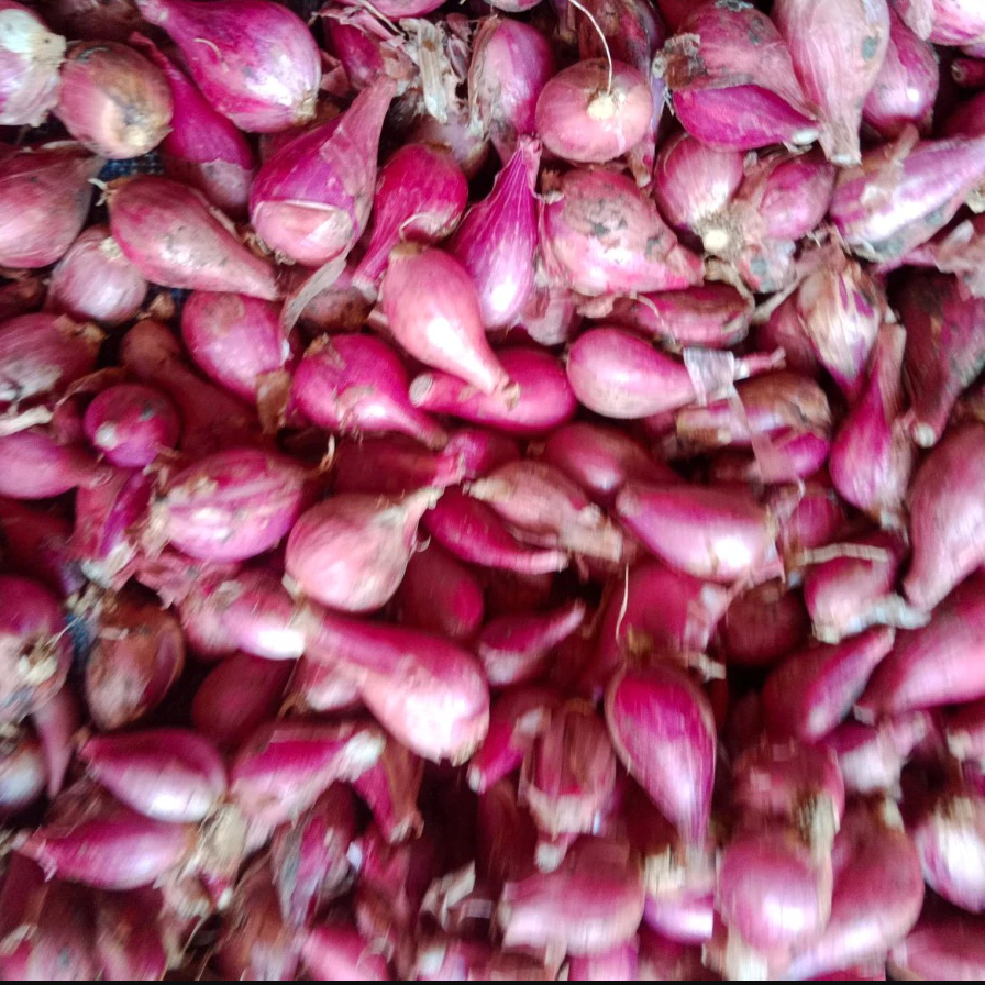 

PROMO 1KG 30RIBU BAWANG MERAH BREBES 1KG KERING UKURAN KECIL SEDANG
