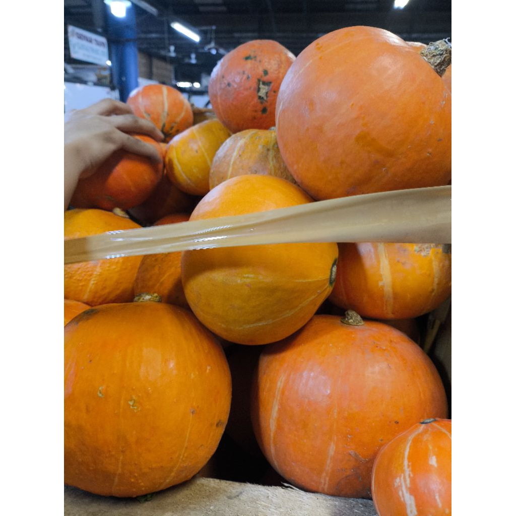 

labu kamboca 1 buah berat 800-1,6kg