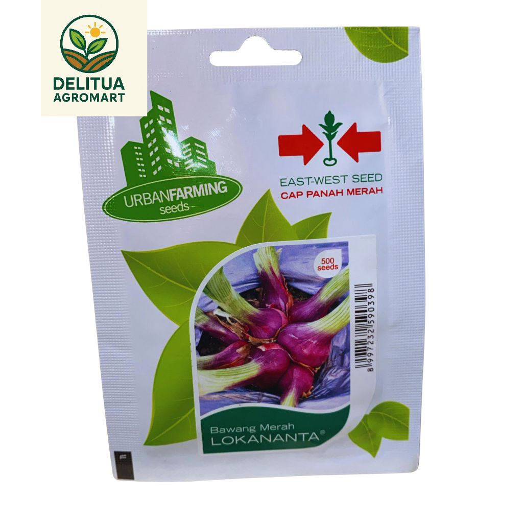 BENIH TANAMAN CAP PANAH BERAH BAWANG MERAH LOKANANTA 500 BUTIR
