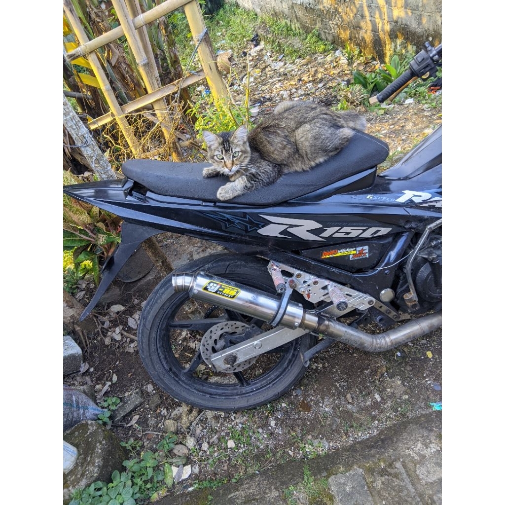 slincer sj88 gp abadi