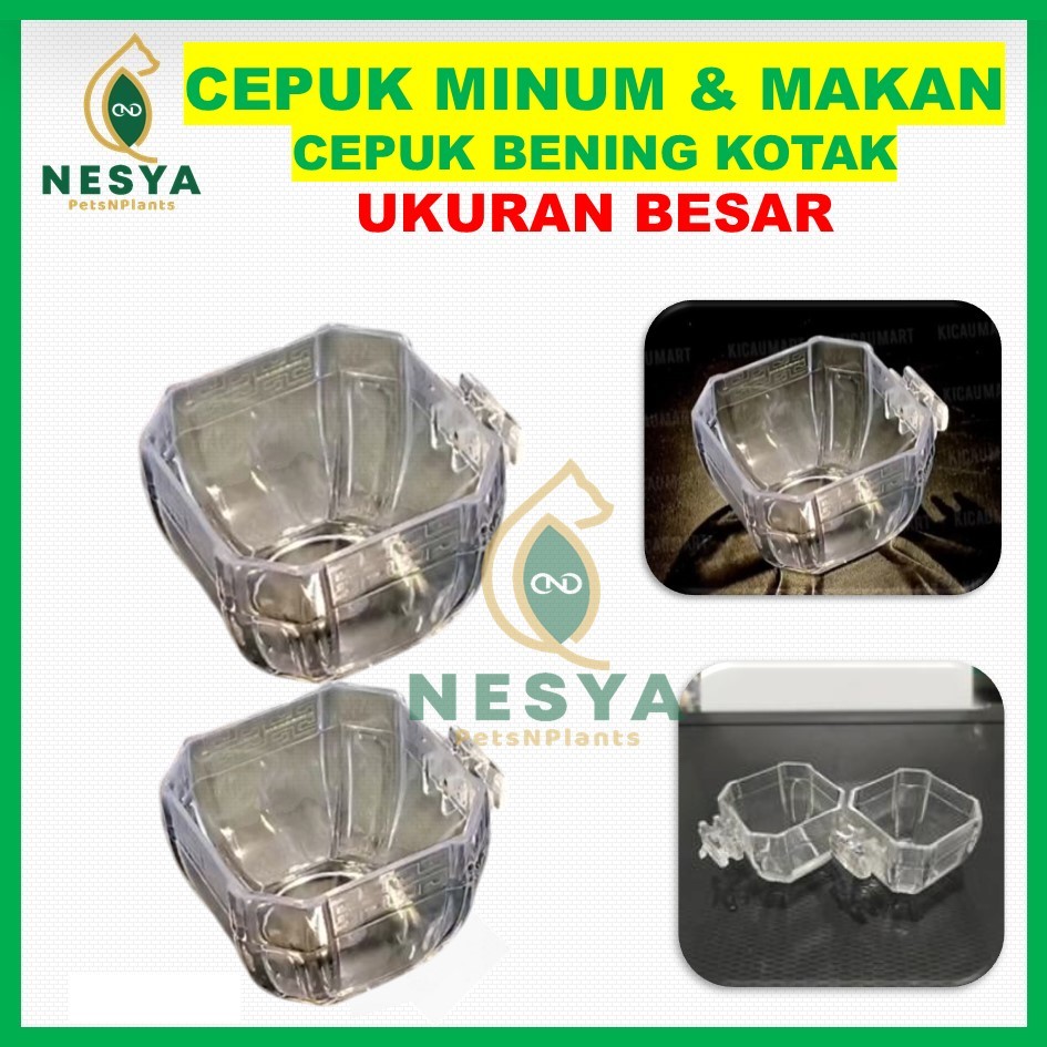 Cepuk Besar Segi 8 Bening Mika Cepuk Burung Murai Kacer Kenari Lovebird