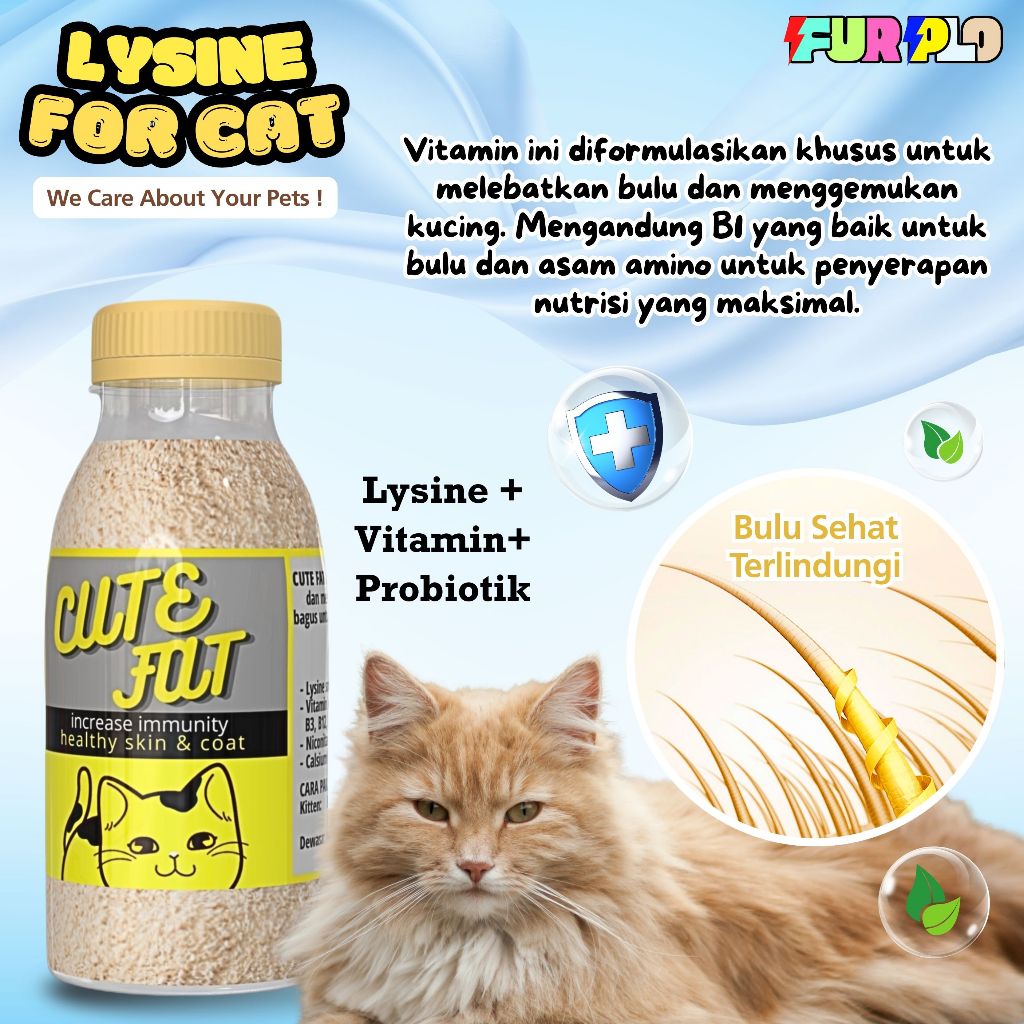 VITAMIN KUCING PENGGEMUK KUCING VITAMIN BULU KUCING RONTOK KUSAM VITAMIN NAFSU MAKAN CUTE FAT Furplo