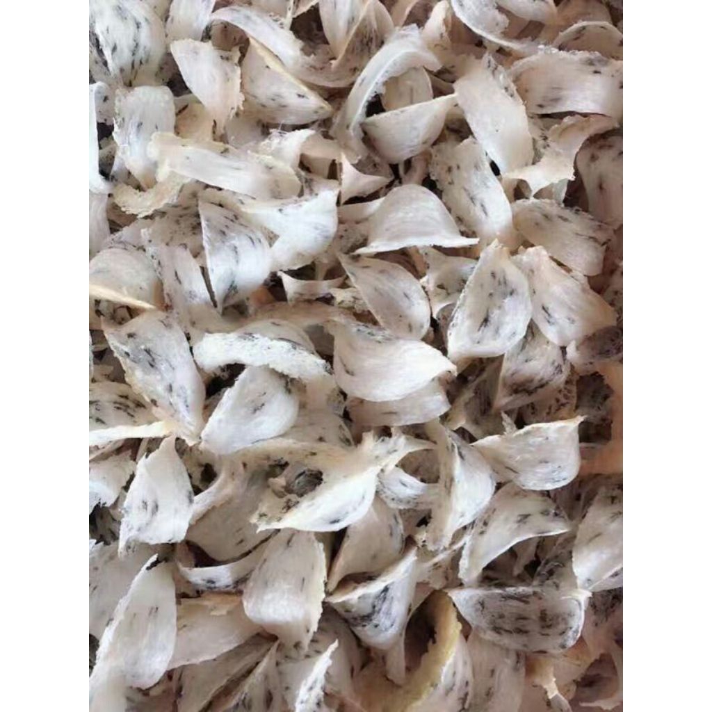 

Sarang Burung Walet Kotor Utuh @1gram