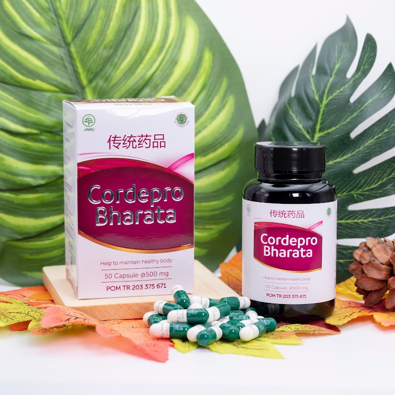 Obat Herbal Cordepro Bharata - Obat Penyakit Paru-Paru
