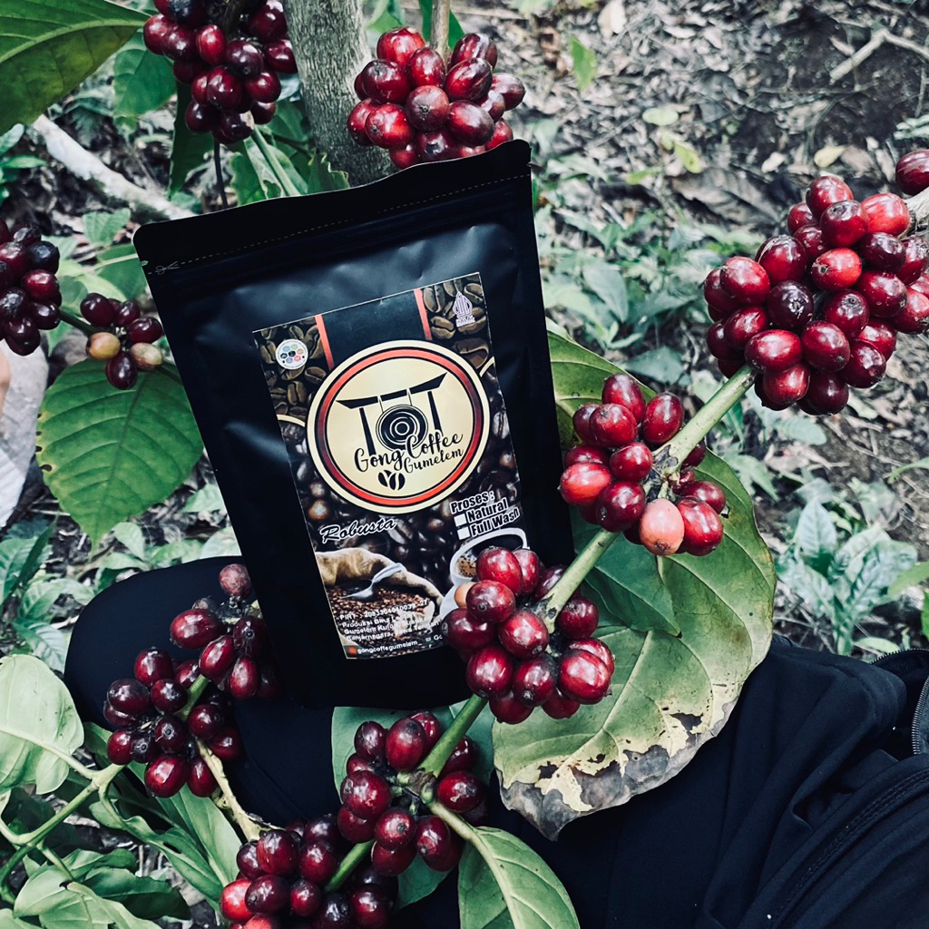 

GONGCOFFE - Kopi bubuk kemasan 100% kopi murni kopi organik