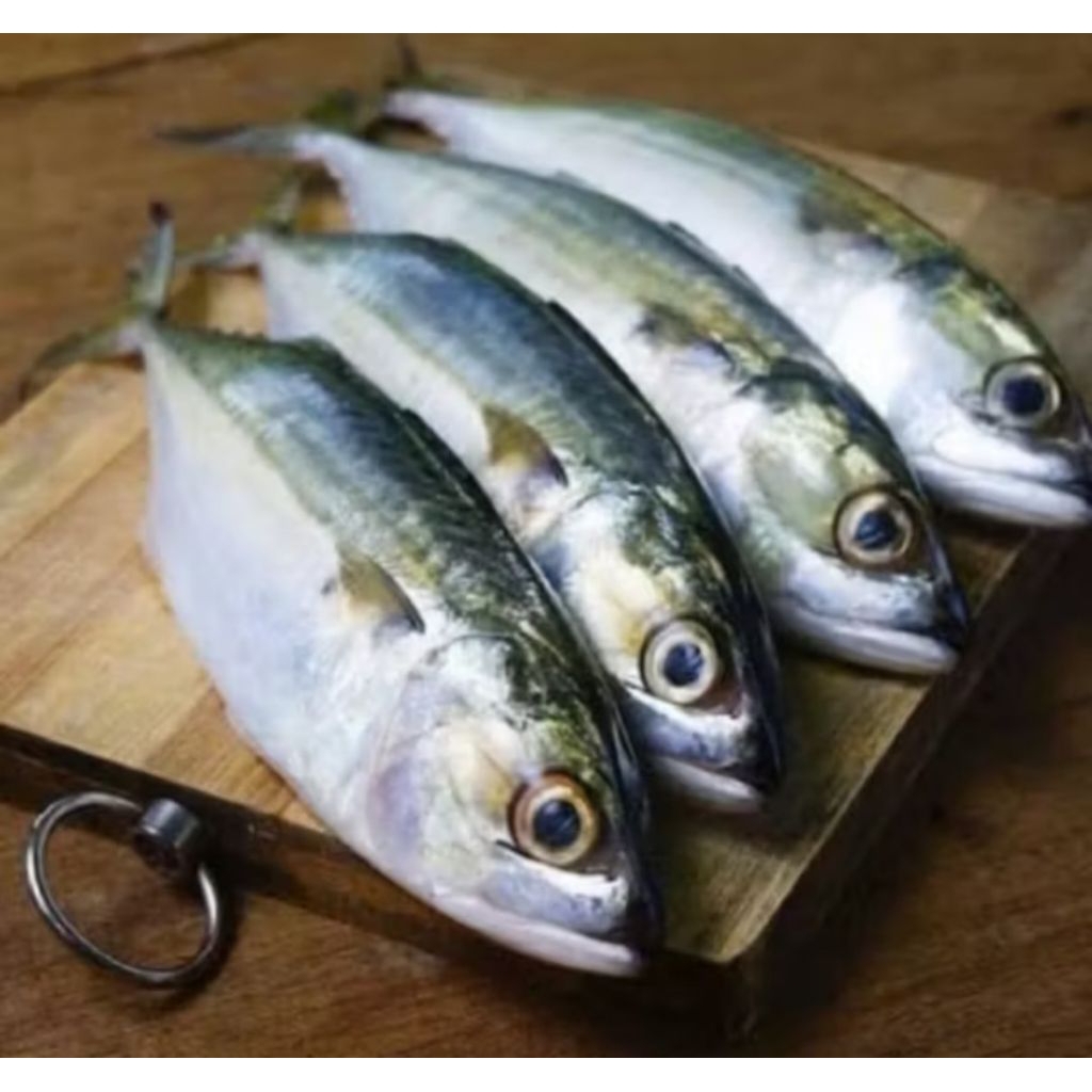 

IKAN KEMBUNG BANJAR SEGAR SEAFOOD / KEMBUNG BANJAR MARINASI 1KG