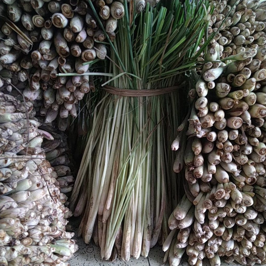 

Sereh Lokal Pilihan Fresh1KG