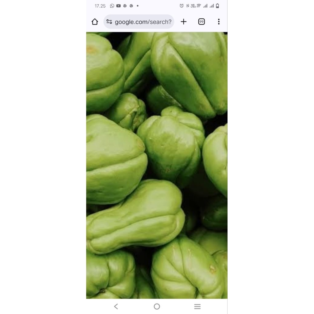 

Lejet/labu siam 500gr