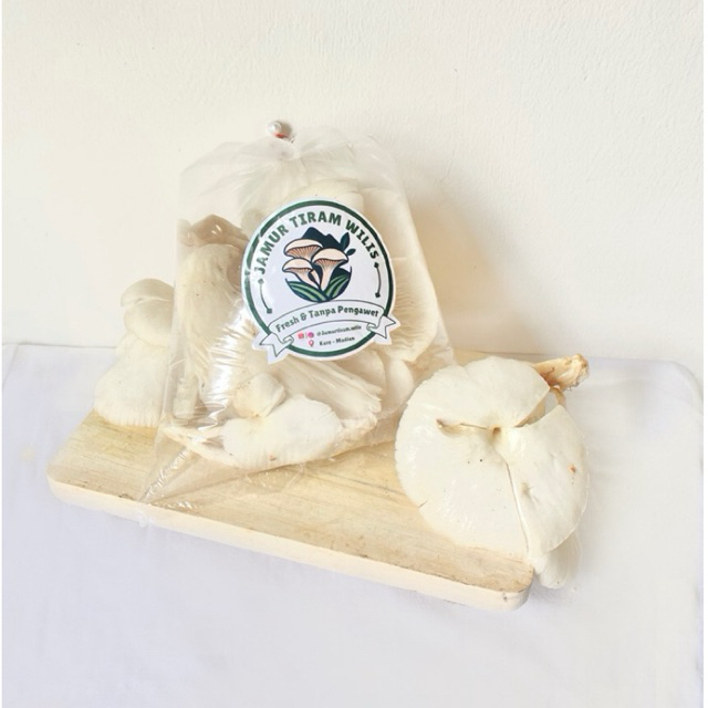 

Jamur Tiram Putih 500 gram