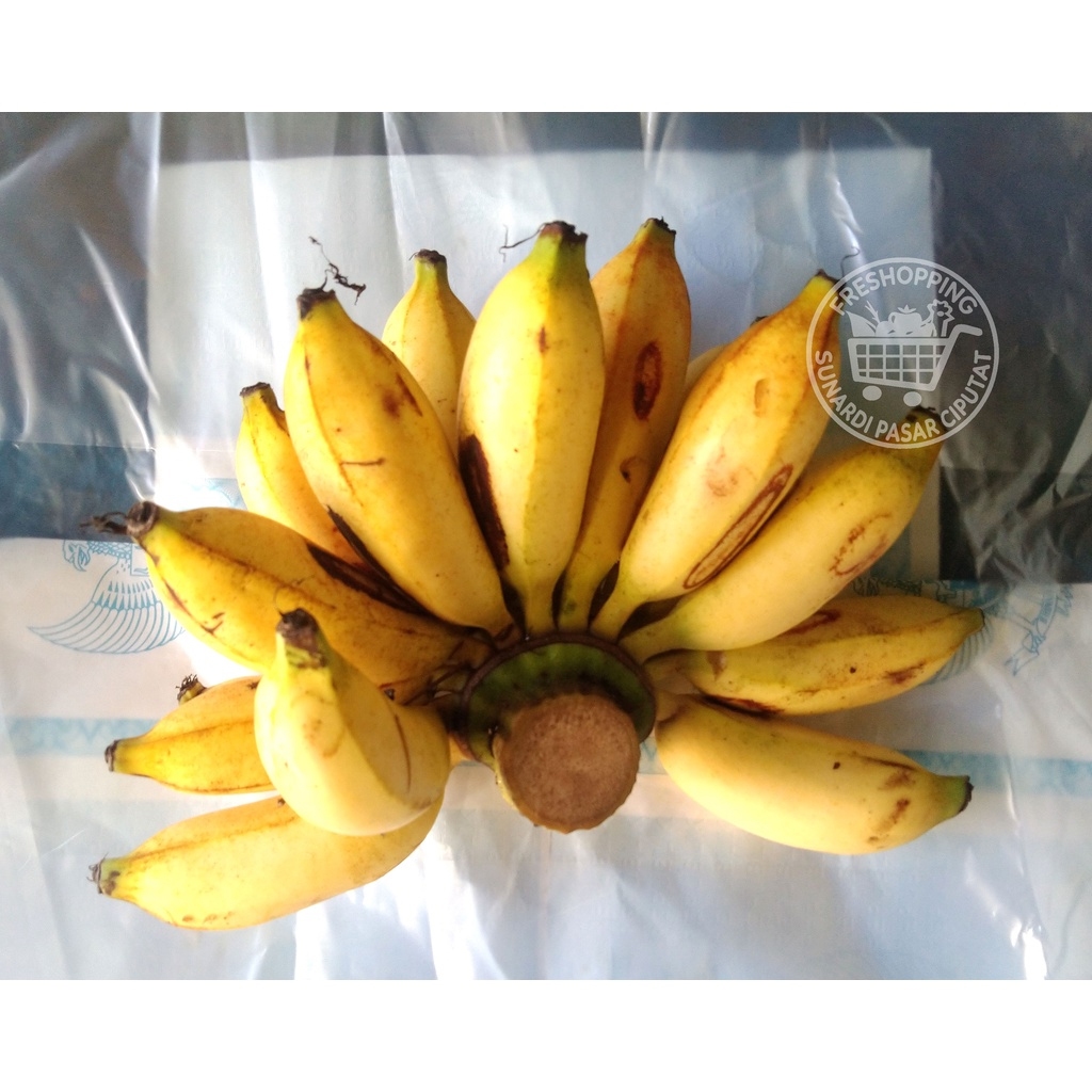 

Pisang Lampung 1 sisir